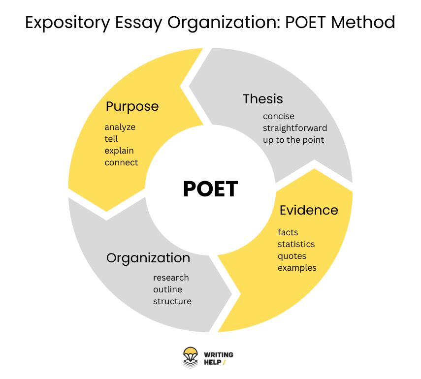 explain expository essay with examples